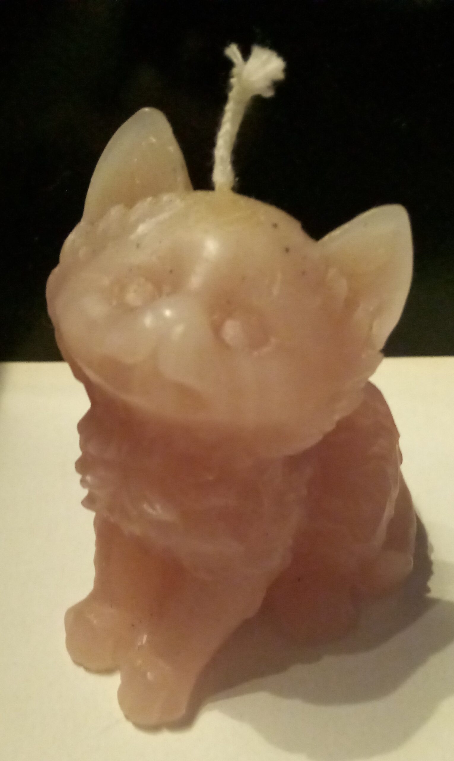 Kerzen (Katze-Klein) – Bild 2