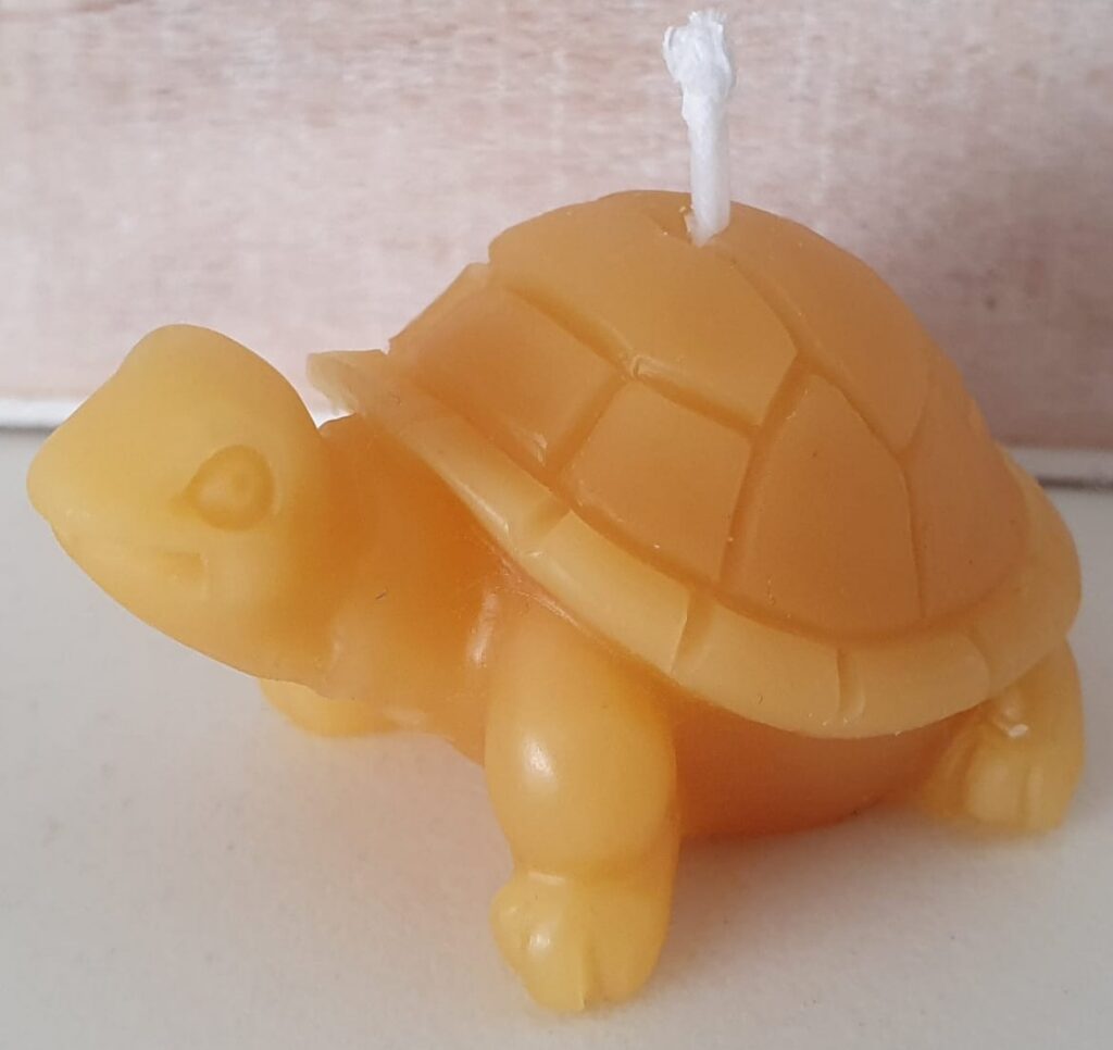 Kerzen (Schildkröte)