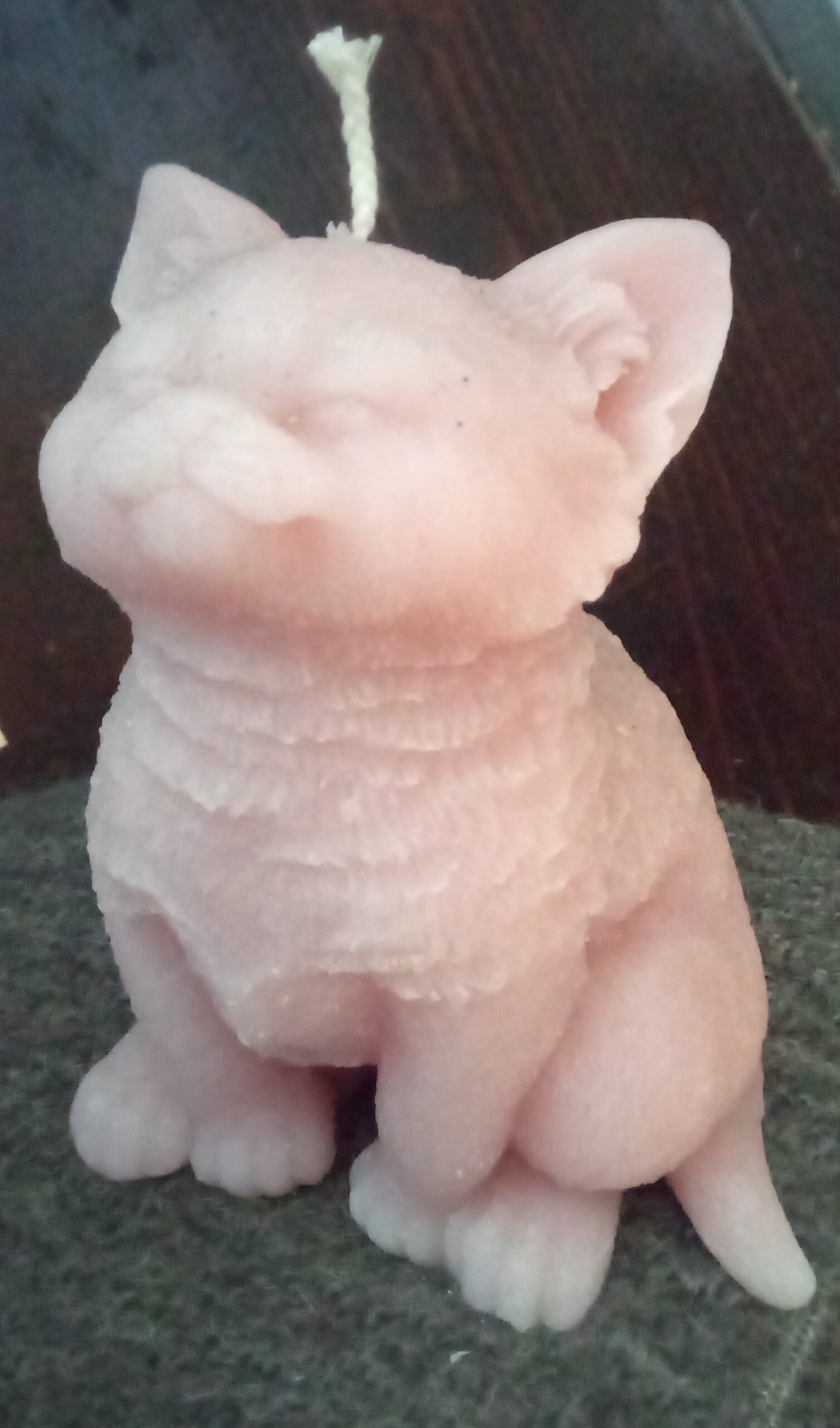 Kerzen (Katze-Sitzend) – Bild 3