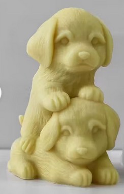 Kerzen ( Labrador-Retriever)