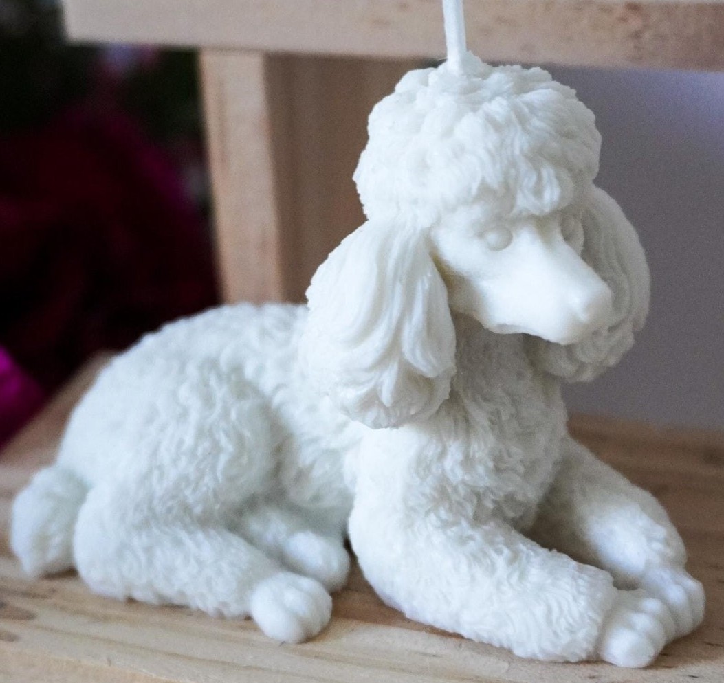 Kerzen (Pudel) – Bild 2