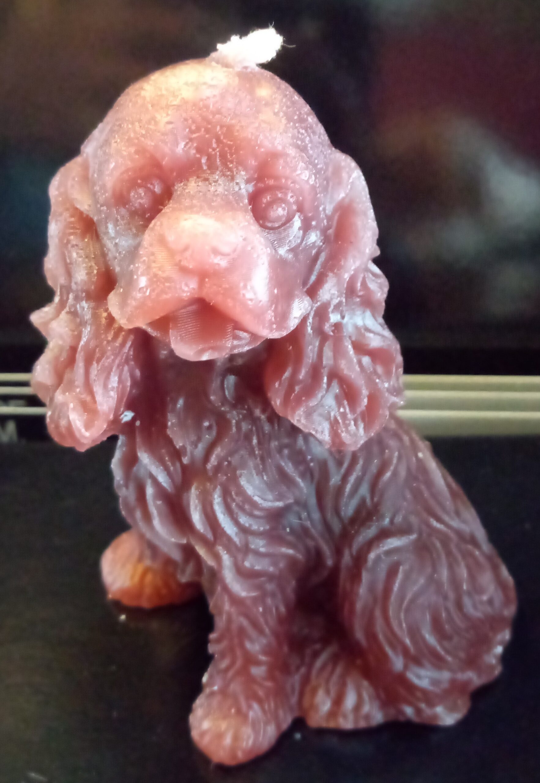 Kerzen (Cocker-Spaniel) – Bild 2