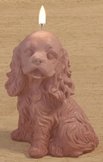 Kerzen (Cocker-Spaniel)