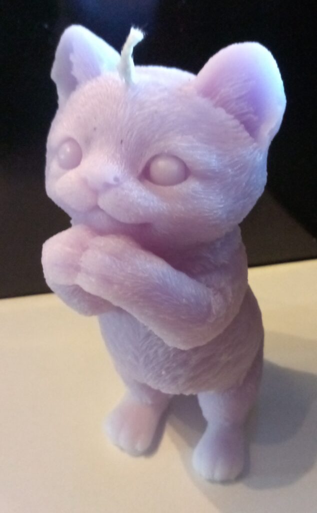 Kerzen (KATZE-GROSS-STEHEND)