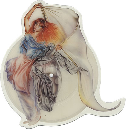 Fish – A Gentleman's Excuse Me (Shape-Picture-Disc) – Bild 3