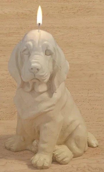 Kerzen (Labrador)