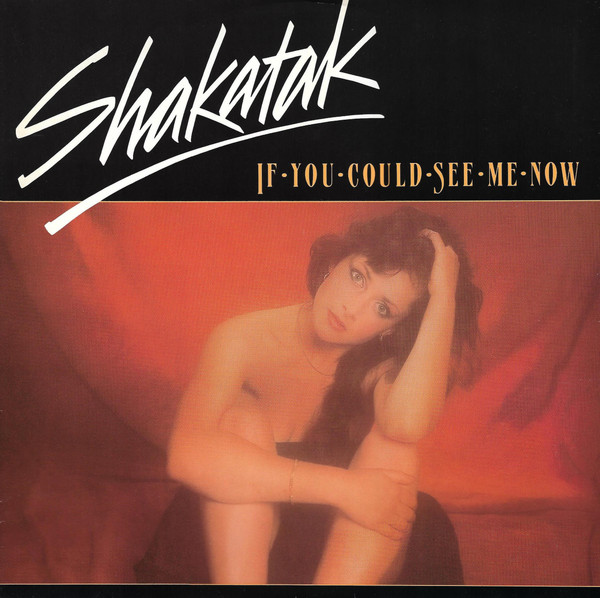 Shakatak – If You Could See Me Now