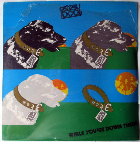 Stray Dog ‎– While You're Down There