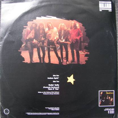 The Black Crowes – Jealous Again (Picture-Disc) – Bild 5