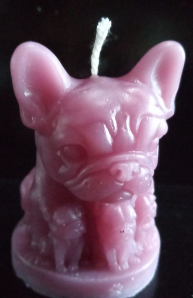 Kerzen (Bulldog-Familie)