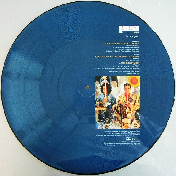 Tears For Fears – Advice For The Young At Heart (PICTURE-DISC) – Bild 2