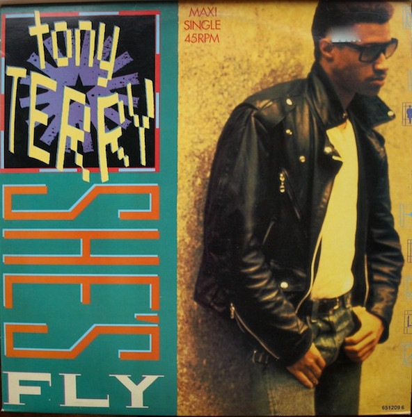 Tony Terry – She's Fly