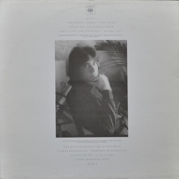 Robert Lamm – Skinny Boy – Bild 2