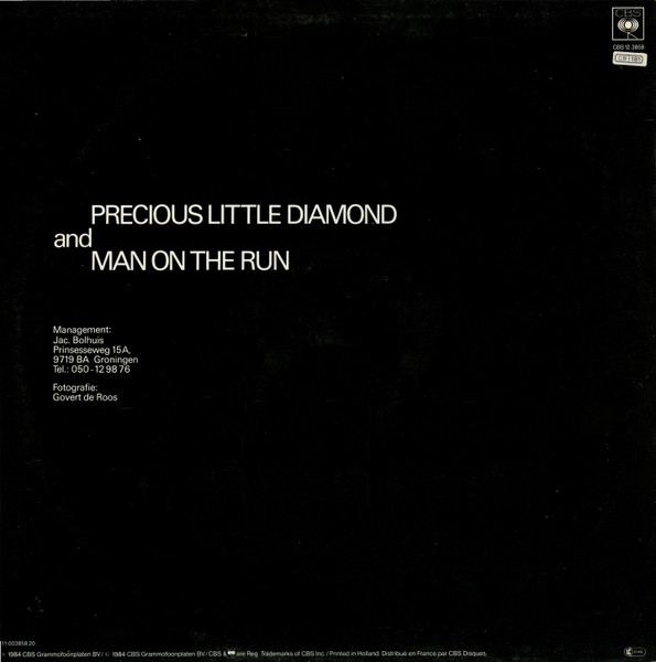 Fox The Fox – Precious Little Diamond (Special Remix) – Bild 2